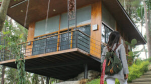 Pesona Dagi Abhinaya Yang Tersembunyi