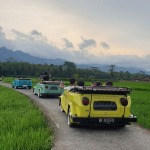 Sewa VW Safari Borobudur: Cara Seru Keliling Desa Wisata Magelang dengan VW Klasik