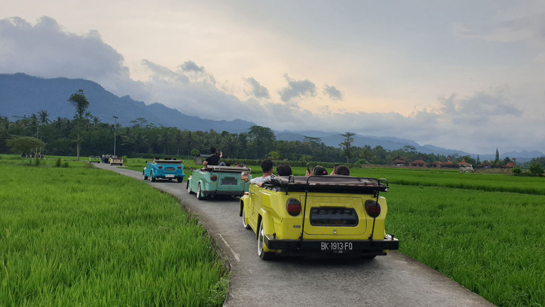 Sewa VW Safari Borobudur: Cara Seru Keliling Desa Wisata Magelang dengan VW Klasik